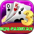 Betjee Game Premium Pakistan