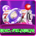 Winli Slots Gaming Premium